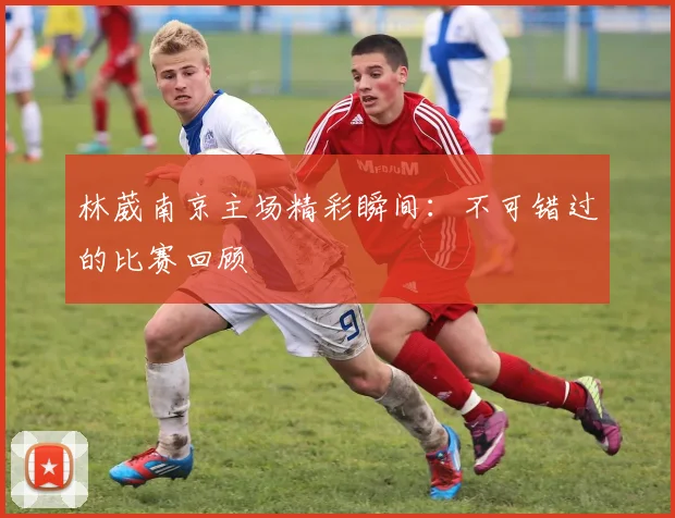 林葳南京主场精彩瞬间:不可错过的比赛回顾