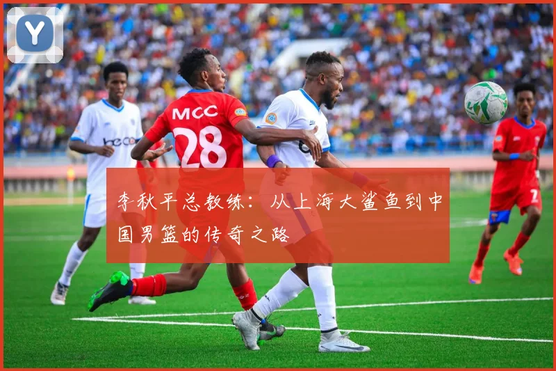李秋平总教练:从上海大鲨鱼到中国男篮的传奇之路